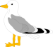 seagull graphic